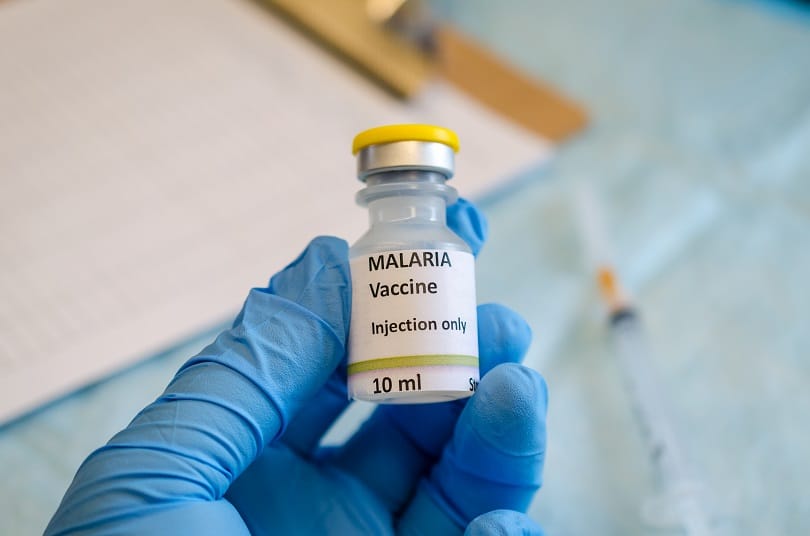 a malaria vaccine