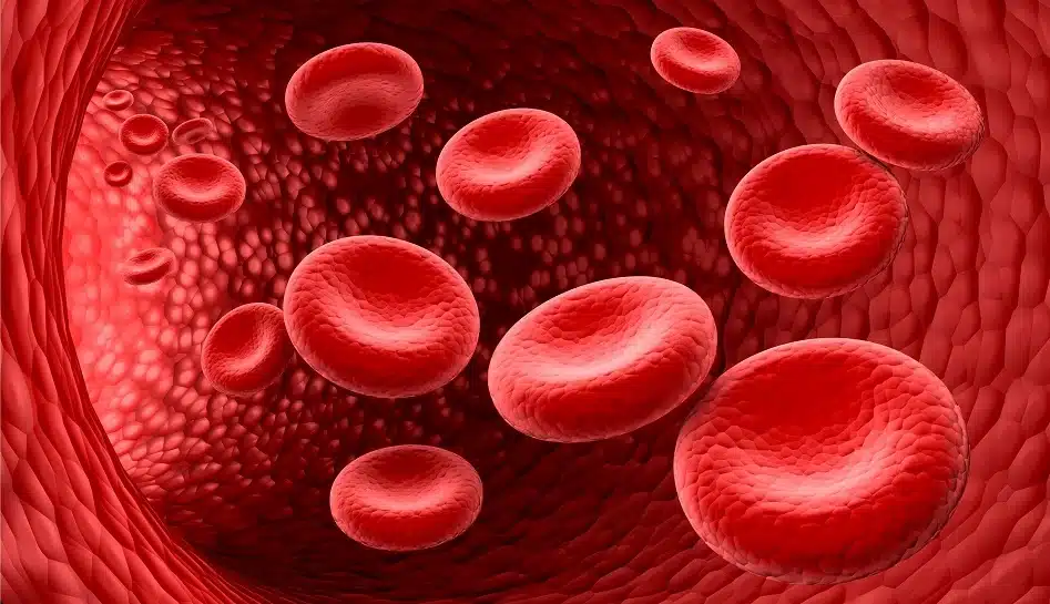 Five rarest blood types in humans