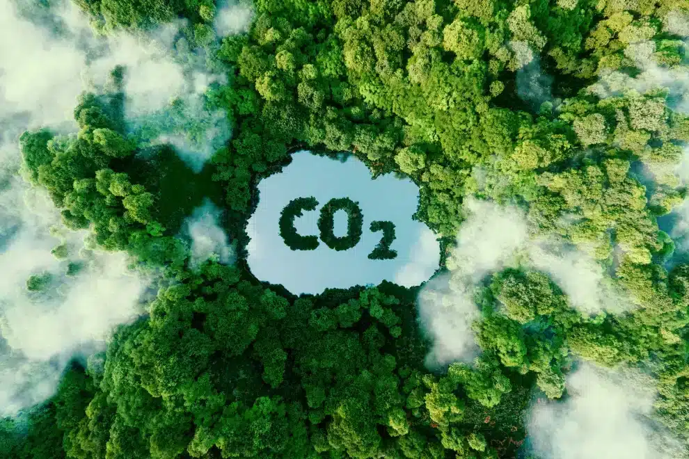 concept depicting issue carbon dioxide emissions its impact nature form pond shape co2 symbol locate 1