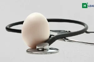 egg-cardiology
