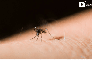 climate change causes malaria