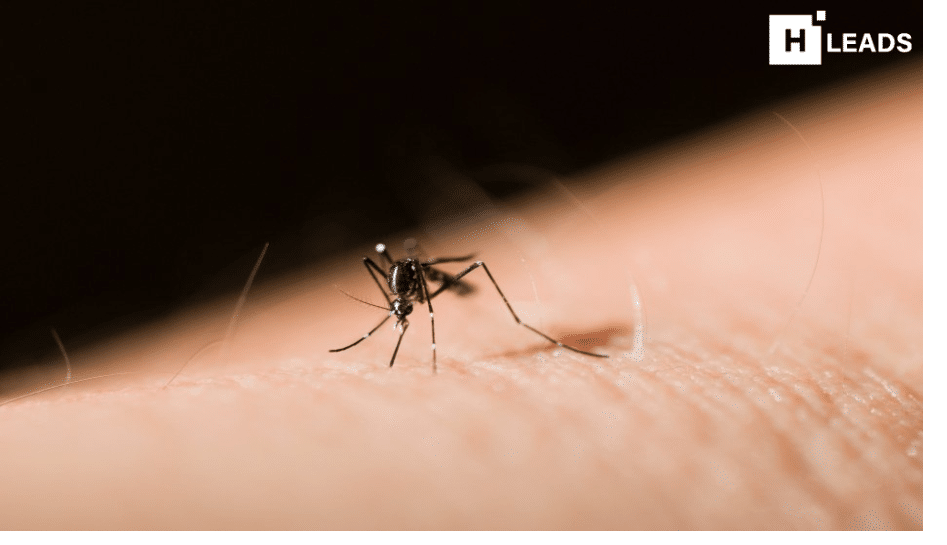 climate change causes malaria